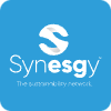 Synesgy obrázek